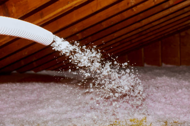 Best Attic Insulation Installation  in Laurie, MO