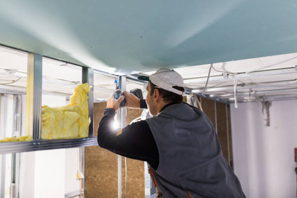 Best Crawl Space Insulation  in Laurie, MO