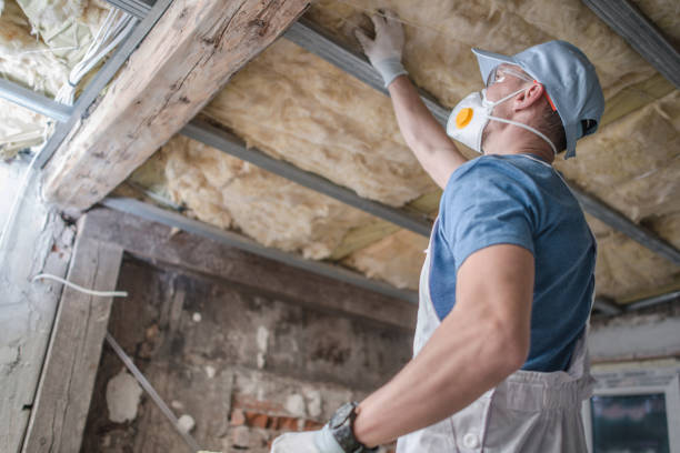 Best Insulation Contractors for Homes  in Laurie, MO