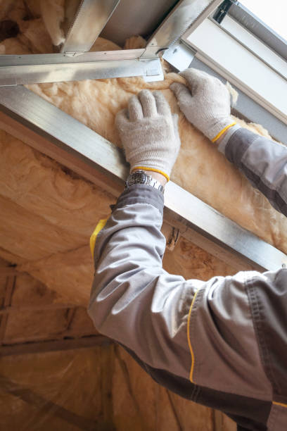 Best Commercial Insulation Contractor  in Laurie, MO