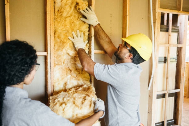 Best Affordable Insulation Services  in Laurie, MO