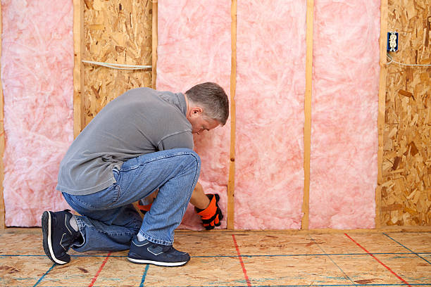 Best Attic Insulation Installation  in Laurie, MO
