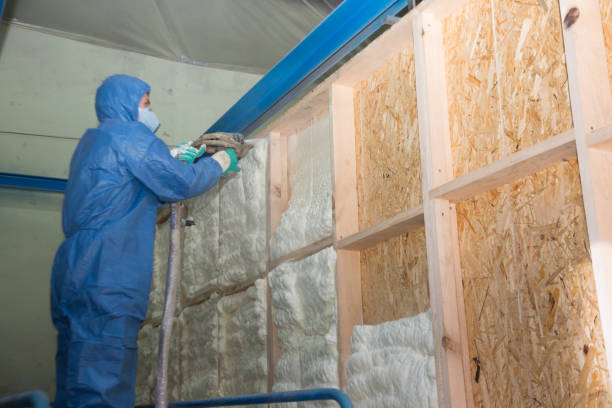 Best Professional Insulation Contractor  in Laurie, MO