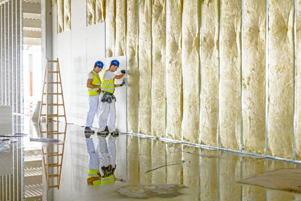 Best Wall Insulation Contractor  in Laurie, MO